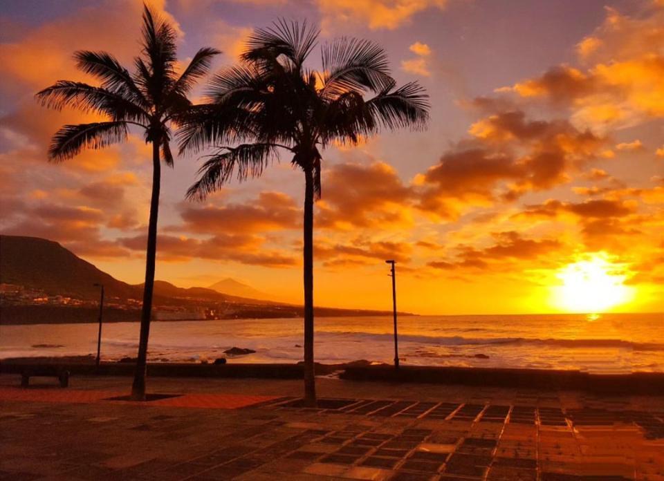 Callao Surf House Apartment Punta Del Hidalgo